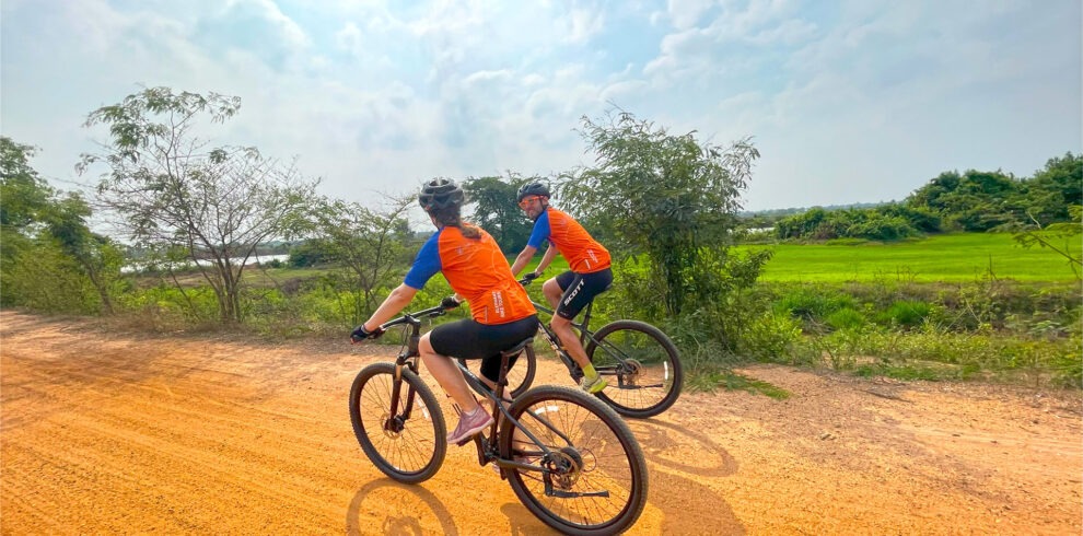 Cycling with small group tour and guide